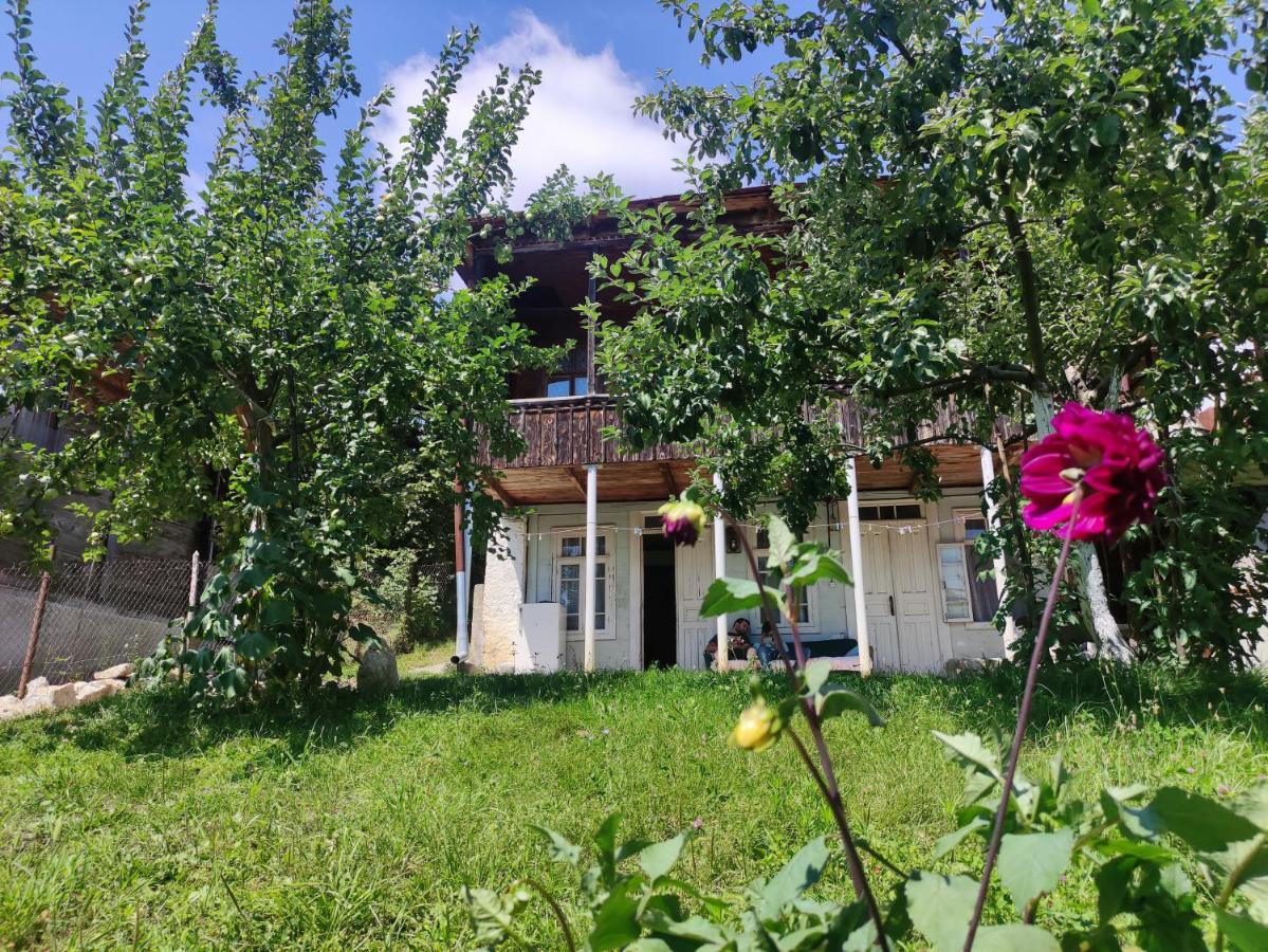 Racha Chogovadze'S Guest House Ambrolauri Exterior photo